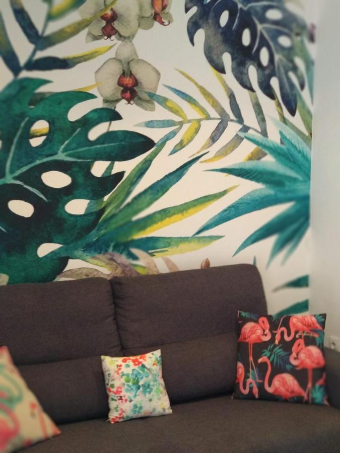 Atico Fenicia Apartment Cadiz Luaran gambar